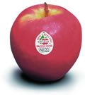 This picture shows an ENZA Pacific Rose.  This apple is also marketed as NZ Rose